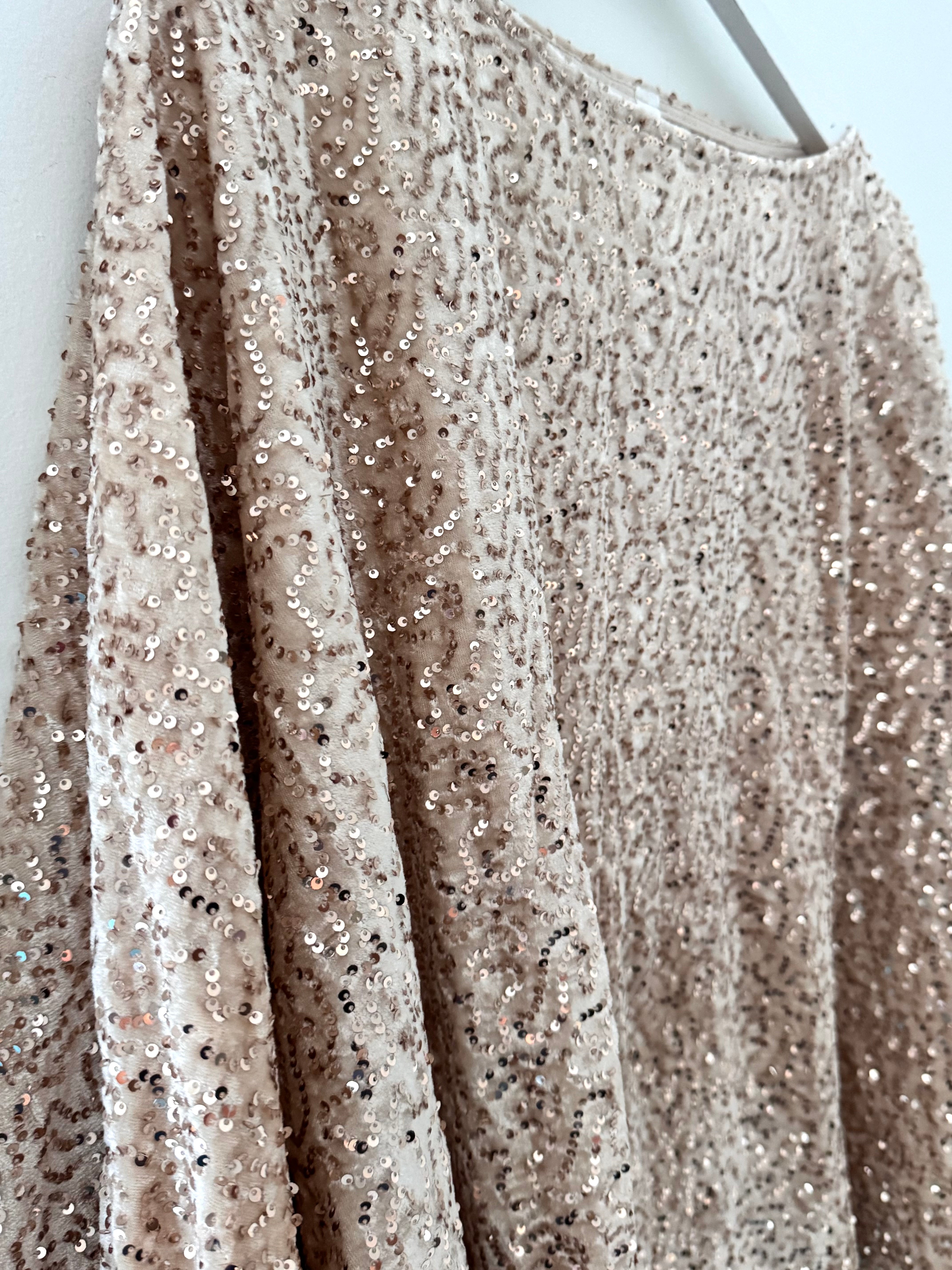 Sequin Velvet Top in Champagne