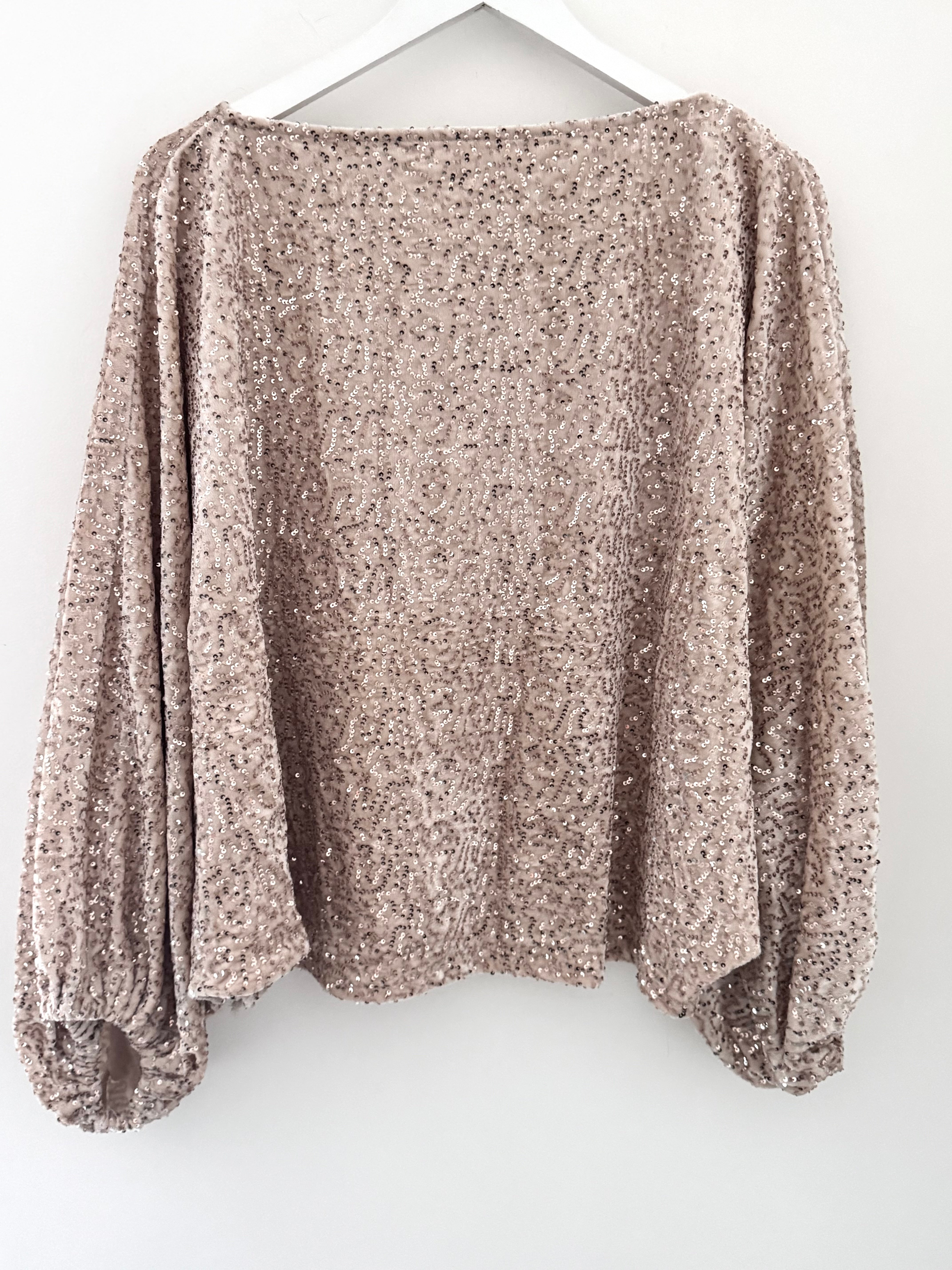 Sequin Velvet Top in Champagne